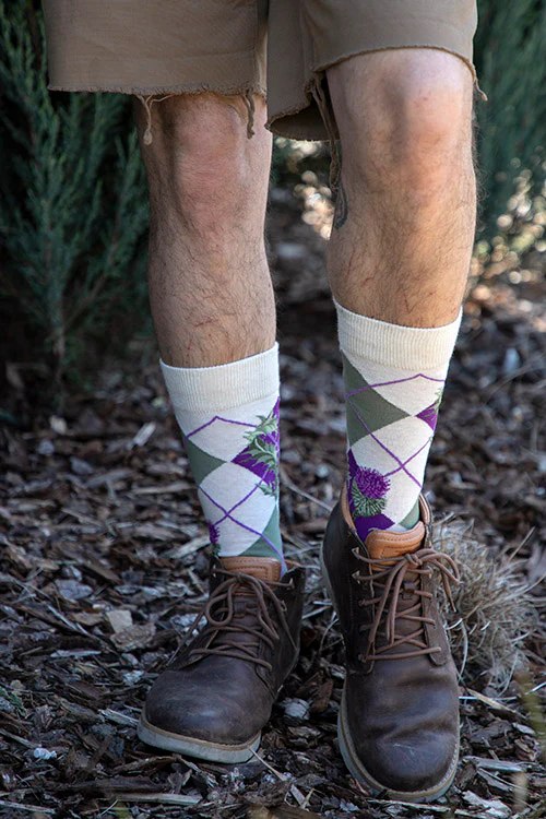 Argyle Thistle Crew - Image 3