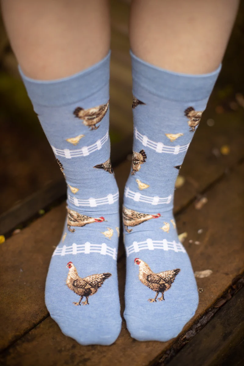 Chickens Crew - Image 5