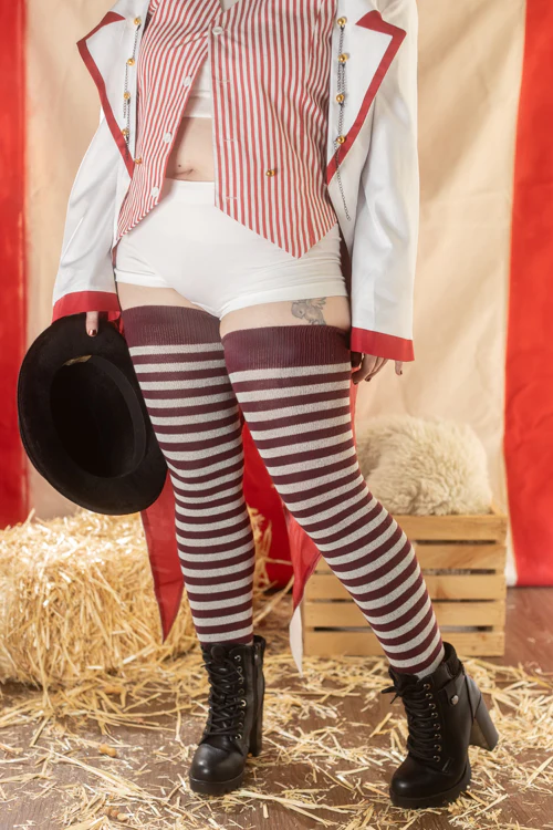 Longer Ringmaster Stripes Extraordinary Thigh High Socks - Image 16