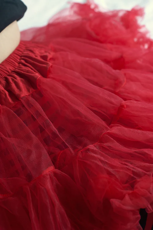 Plus Size Layered Tulle Petticoat - Image 7
