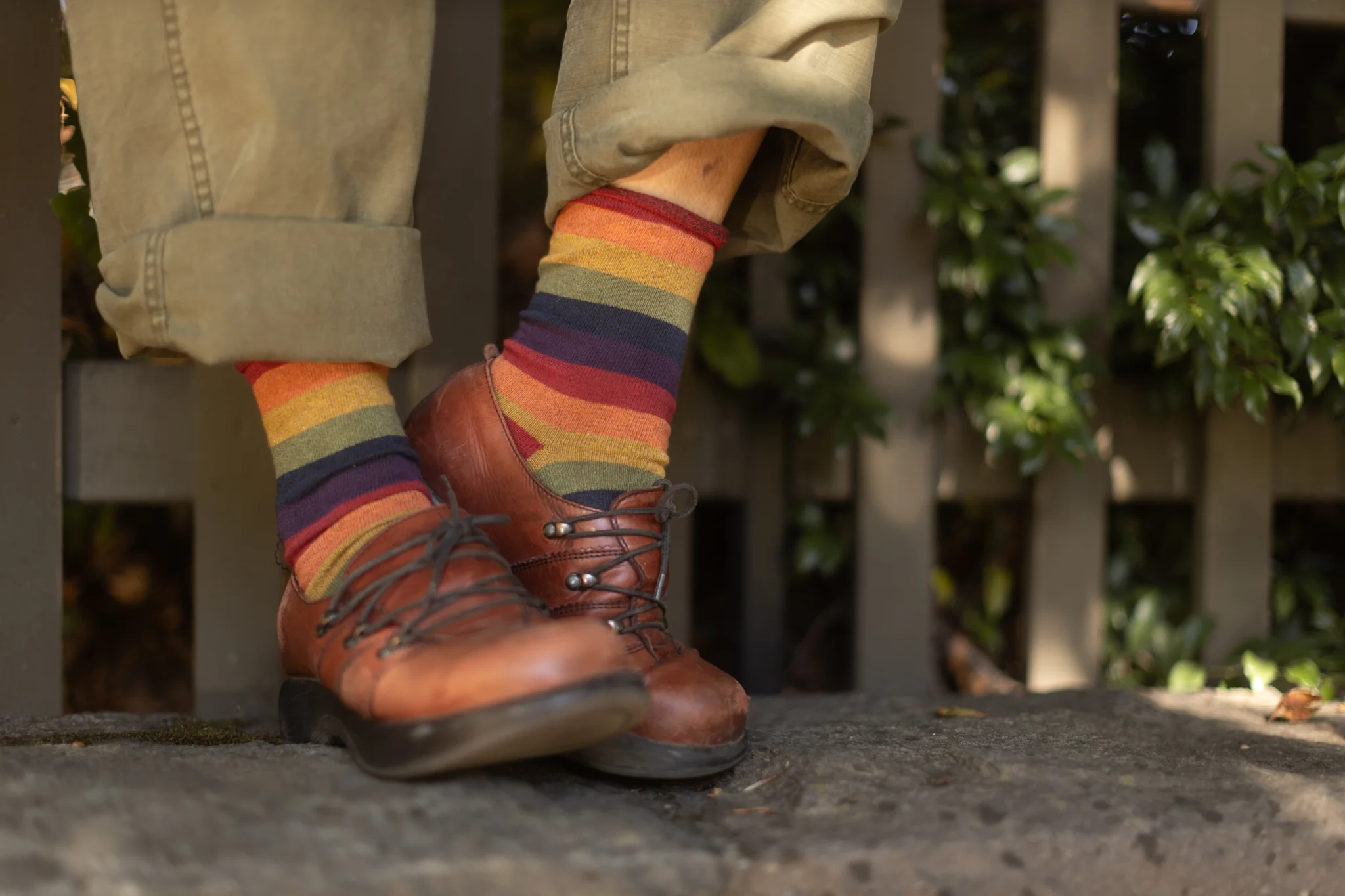 Roll Top Crew - Harvest Rainbow - Image 4