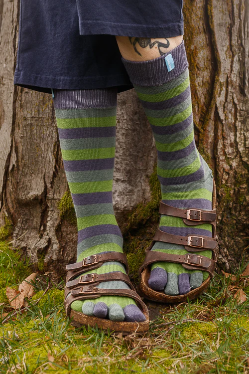 Stripy Crew Toe Socks